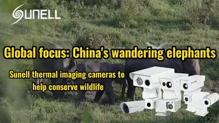 Camera chụp ảnh nhiệt sunell giúp bảo tồn động vật hoang dã