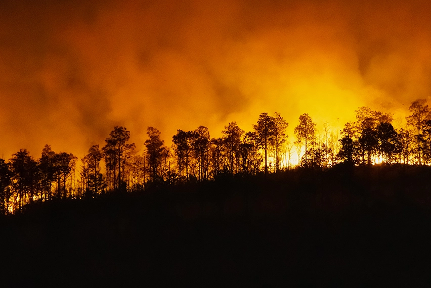 Giải pháp hệ thống phát hiện cháy rừng